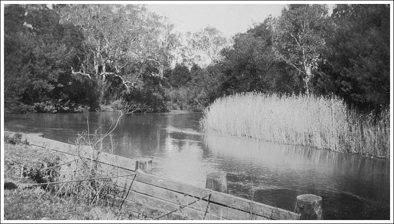 Bellbird Corner